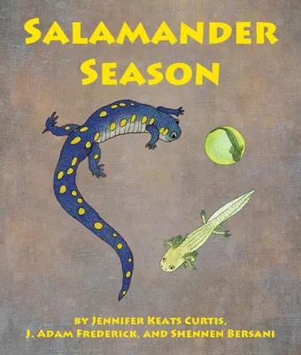 La saison des salamandres - Salamander Season