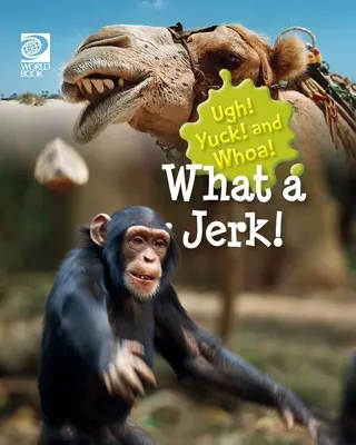 Quel con ! - What a Jerk!