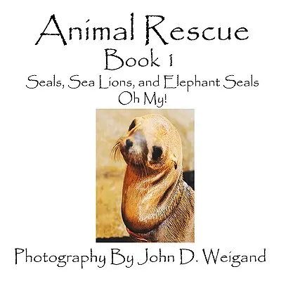 Animal Rescue, Livre 1, Phoques, lions de mer et éléphants de mer, Oh My ! - Animal Rescue, Book 1, Seals, Sea Lions And Elephant Seals, Oh My!