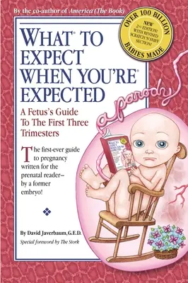 Que peut-on attendre quand on est attendu ? Guide du fœtus pour les trois premiers trimestres - What to Expect When You're Expected: A Fetus's Guide to the First Three Trimesters