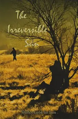 Le soleil irréversible - The Irreversible Sun