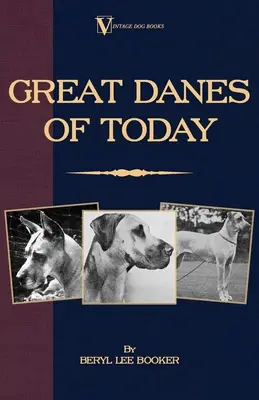 Les Grands danois d'aujourd'hui - Great Danes of Today