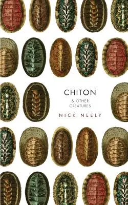 Chiton et autres créatures - Chiton & Other Creatures