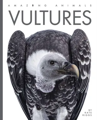 Vautours - Vultures