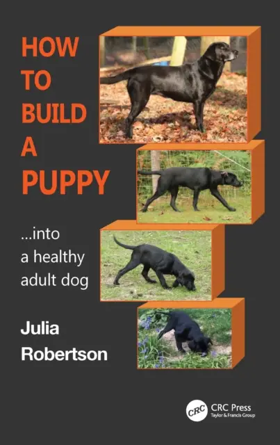 Comment transformer un chiot : pour en faire un chien adulte en bonne santé - How to Build a Puppy: Into a Healthy Adult Dog