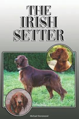 Le Setter irlandais : Un guide complet et exhaustif pour les propriétaires : L'achat, la possession, la santé, le toilettage, le dressage, l'obéissance, la compréhension et l'éducation. - The Irish Setter: A Complete and Comprehensive Owners Guide To: Buying, Owning, Health, Grooming, Training, Obedience, Understanding and