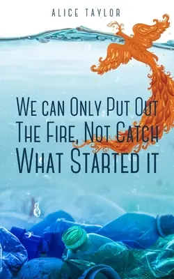 Nous ne pouvons qu'éteindre le feu, pas attraper ce qui l'a déclenché. - We can Only Put Out The Fire, Not Catch What Started it.