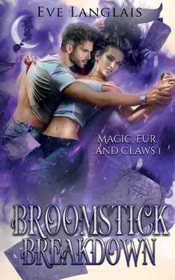 La rupture du balai - Broomstick Breakdown