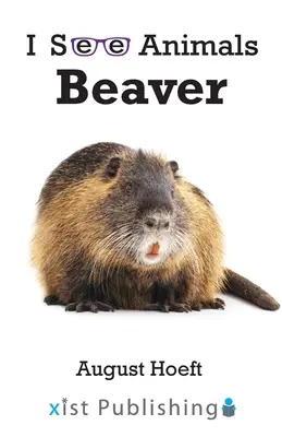 Castor - Beaver