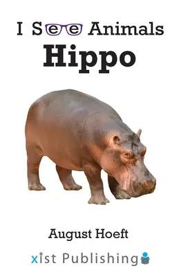 Hippopotame - Hippo