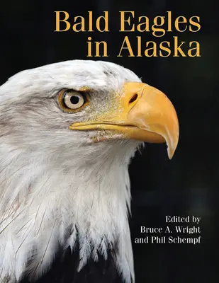 Aigles à tête blanche en Alaska - Bald Eagles in Alaska