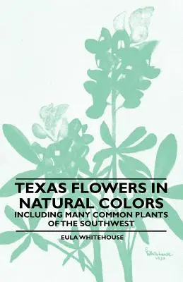 Fleurs du Texas en couleurs naturelles - y compris de nombreuses plantes communes du sud-ouest - Texas Flowers in Natural Colors - Including Many Common Plants of the Southwest