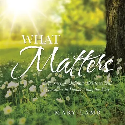 Ce qui compte : Un voyage dans l'existence ordinaire avec des questions à se poser en chemin - What Matters: A Journey of Ordinary Existence with Questions to Ponder Along the Way