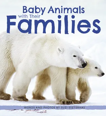 Bébés animaux avec leur famille - Baby Animals with Their Families