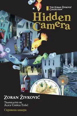 Caméra cachée - Hidden Camera