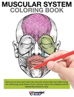 Livre à colorier sur le système musculaire - Muscular System Coloring Book