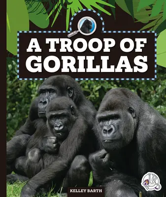 Une troupe de gorilles - A Troop of Gorillas