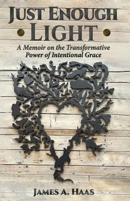Juste assez de lumière : Un mémoire sur le pouvoir de transformation de la grâce intentionnelle - Just Enough Light: A Memoir on the Transformative Power of Intentional Grace