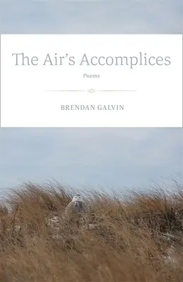 Les complices de l'air : Poèmes - The Air's Accomplices: Poems