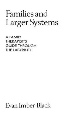 Familles et systèmes plus larges : Guide du thérapeute familial dans le labyrinthe - Families and Larger Systems: A Family Therapist's Guide Through the Labyrinth