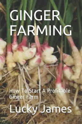 Culture du gingembre : comment démarrer une culture rentable du gingembre - Ginger Farming: How To Start A Profitable Ginger Farm