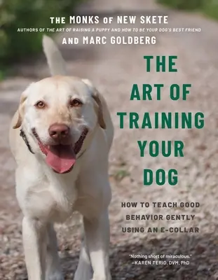 L'art de dresser son chien : comment lui apprendre en douceur les bons comportements à l'aide d'un collier électronique - The Art of Training Your Dog: How to Gently Teach Good Behavior Using an E-Collar