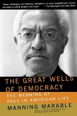 Les grands puits de la démocratie : La signification de la race dans la vie américaine - The Great Wells of Democracy: The Meaning of Race in American Life