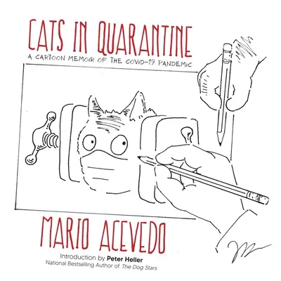 Chats en quarantaine - Cats in Quarantine