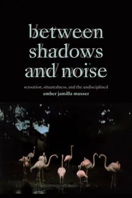 Entre ombres et bruits : Sensation, situation et indiscipline - Between Shadows and Noise: Sensation, Situatedness, and the Undisciplined