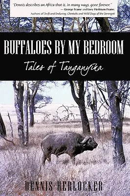 Les buffles de ma chambre - Buffaloes by My Bedroom