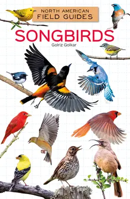 Oiseaux chanteurs - Songbirds