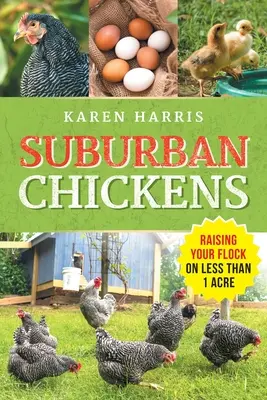 Suburban Chickens : Élever un troupeau sur moins d'un hectare - Suburban Chickens: Raising Your Flock on Less Than One Acre