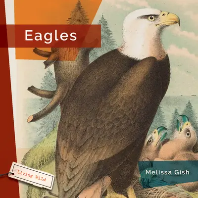 Aigles - Eagles