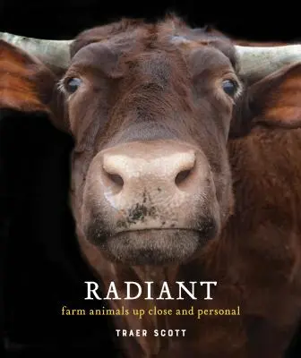 Radieux : Les animaux de la ferme de près et de loin (Livre de photographie des animaux de la ferme) - Radiant: Farm Animals Up Close and Personal (Farm Animal Photography Book)