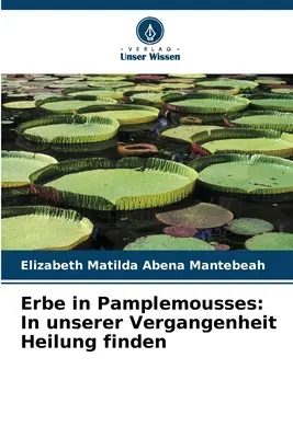 Erbe in Pamplemousses : In unserer Vergangenheit Heilung finden - Erbe in Pamplemousses: In unserer Vergangenheit Heilung finden