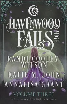 L'histoire de l'amour et de la famille Une collection de Havenwood Falls High - Havenwood Falls High Volume Three: A Havenwood Falls High Collection