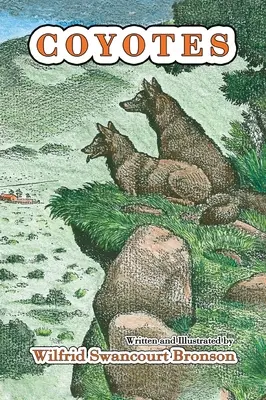 Les coyotes - Coyotes