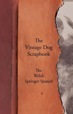 Le livre de scrapbooking du chien d'époque - L'épagneul de printemps gallois - The Vintage Dog Scrapbook - The Welsh Springer Spaniel