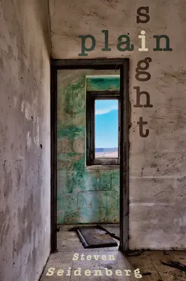 Vue d'ensemble - Plain Sight