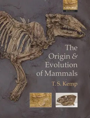 L'origine et l'évolution des mammifères - The Origin and Evolution of Mammals