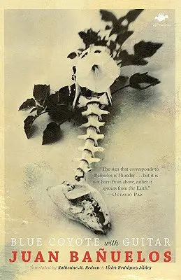 Coyote bleu avec guitare - Blue Coyote with Guitar