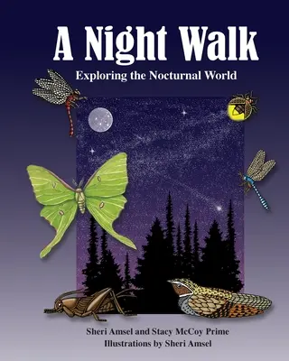 Promenade nocturne : Exploration du monde nocturne - A Night Walk: Exploring the Nocturnal World
