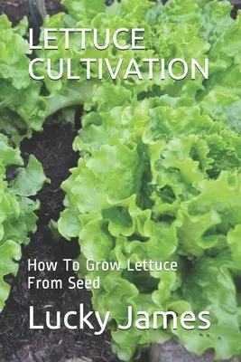 Culture de la laitue : Comment cultiver la laitue à partir de graines - Lettuce Cultivation: How To Grow Lettuce From Seed