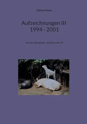 Aufzeichnungen III ; 1994 - 2001 : Zeit des bergangs - Aufstieg und Fall - Aufzeichnungen III; 1994 - 2001: Zeit des bergangs - Aufstieg und Fall