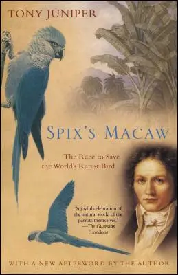 L'ara de Spix : La course pour sauver l'oiseau le plus rare du monde - Spix's Macaw: The Race to Save the World's Rarest Bird