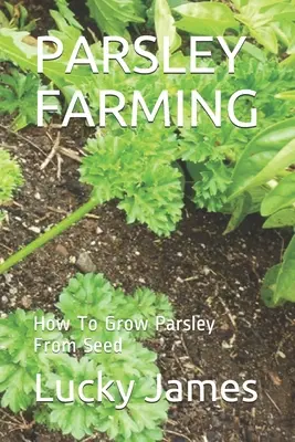 Culture du persil : comment cultiver du persil à partir de graines - Parsley Farming: How To Grow Parsley From Seed