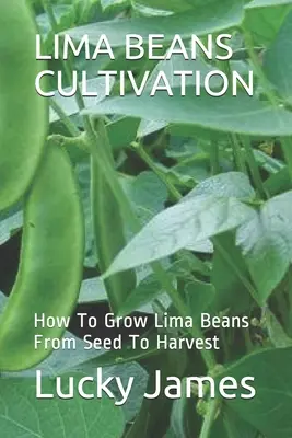 Culture du haricot de Lima : Comment cultiver les haricots de Lima de la semence à la récolte - Lima Beans Cultivation: How To Grow Lima Beans From Seed To Harvest