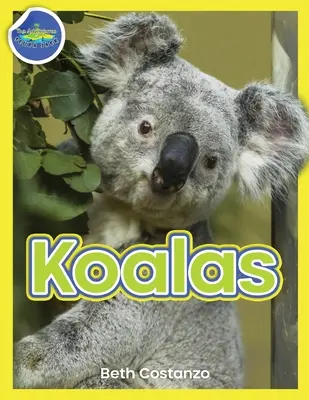 Cahier d'activités Koala pour les 4-8 ans - Koala Activity Workbook ages 4-8