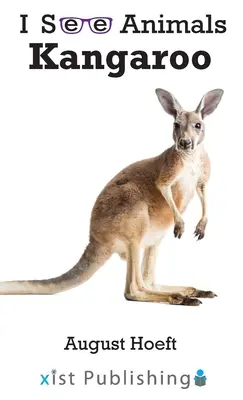 Kangourou - Kangaroo