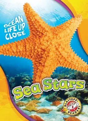 Étoiles de mer - Sea Stars